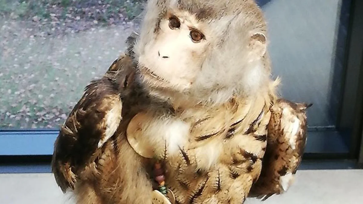 Detailbeeld van een uil bij LABIOMISTA