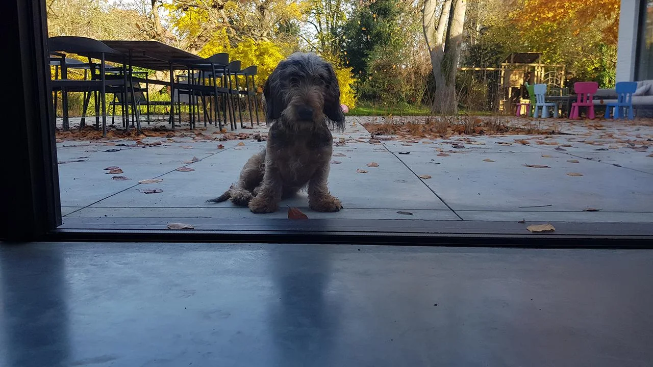 Betonvloer bij de schuifdeur met zicht op de tuin en de hond buiten